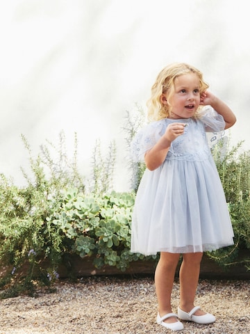 Next Dress in Blue