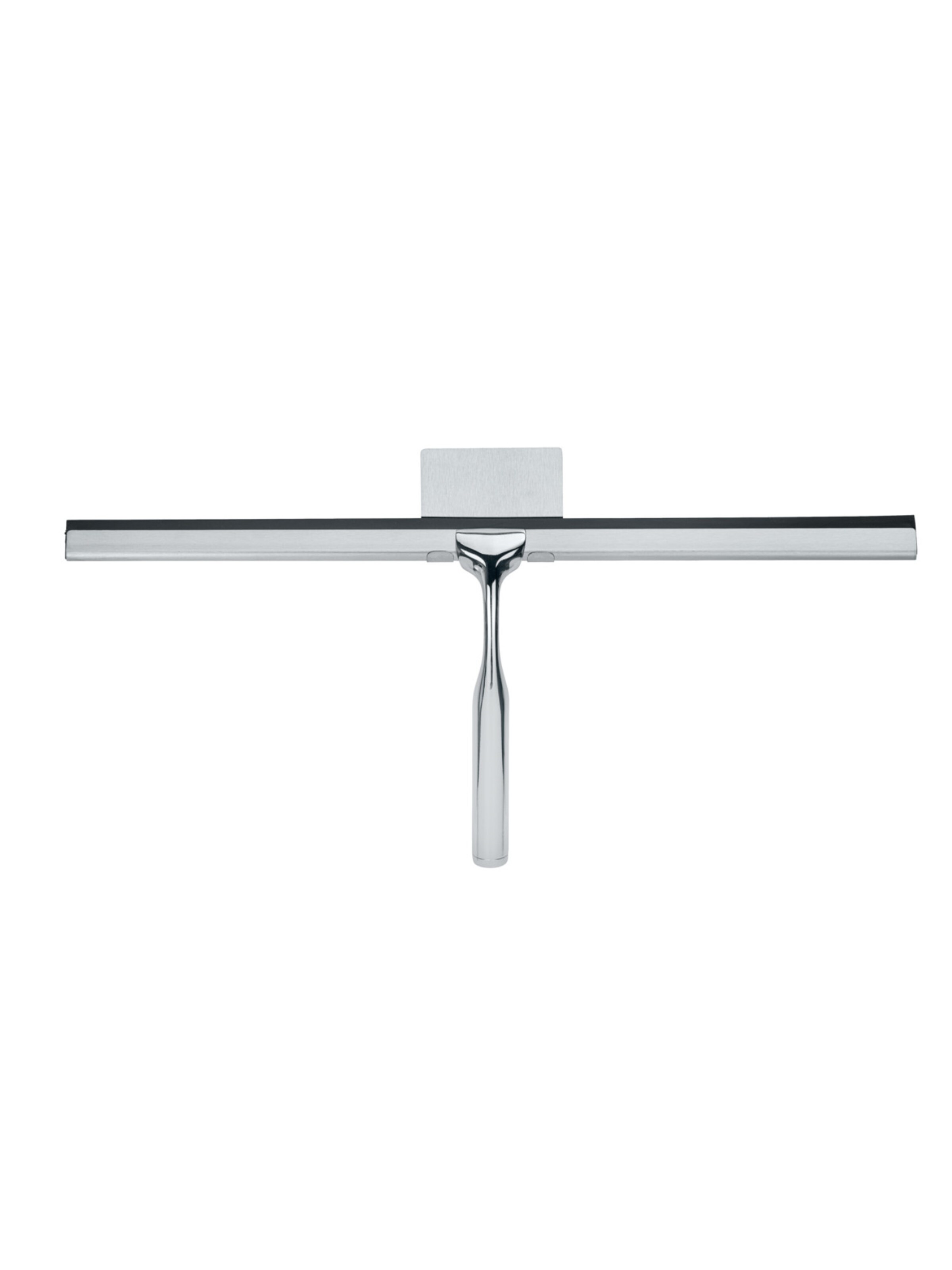 Wenko Shower Accessories 'Terni Jumbo' in Silver: front