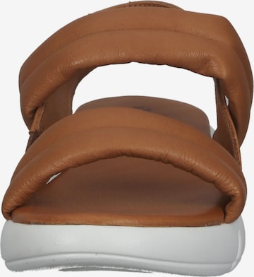 ILC Sandals in Brown