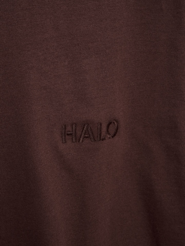 HALO Shirt in Bruin