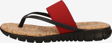 Rapisardi T-Bar Sandals in Red: front