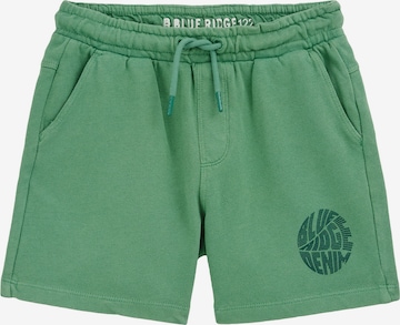 žalia WE Fashion Standartinis Kelnės: priekis