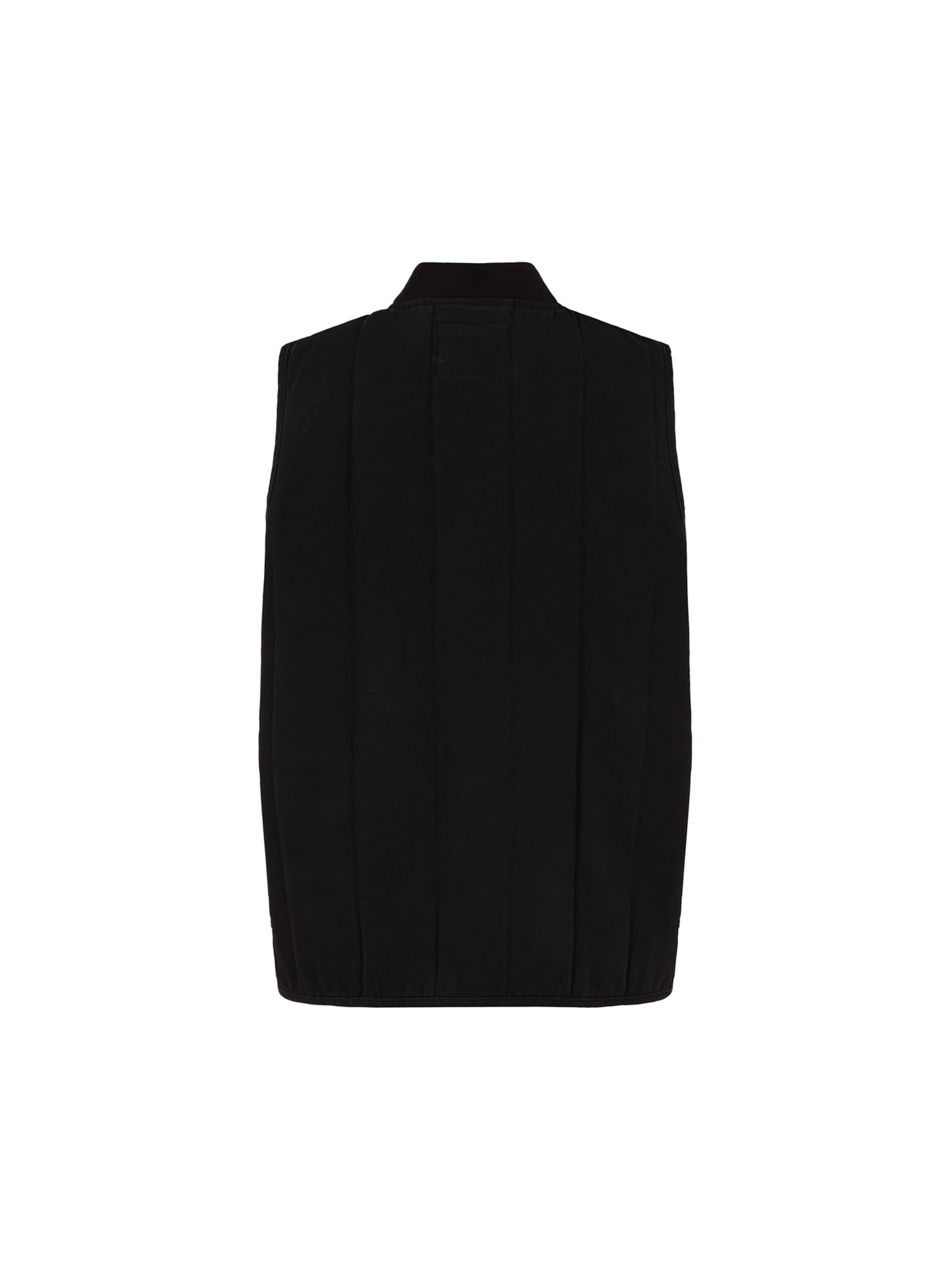 DICKIES Жилетка в Черный