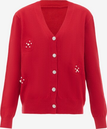 Cardigan nascita en rouge : devant