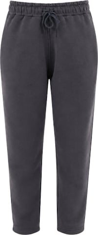 LOUIS LECLER Trousers 'Lucien' in Grey: front