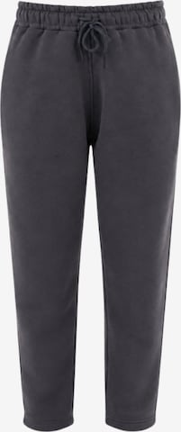 LOUIS LECLER Hose 'Elise' in Grau: Vorderseite