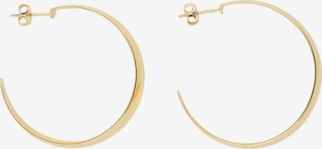 My Jewellery Earrings in Gold: front