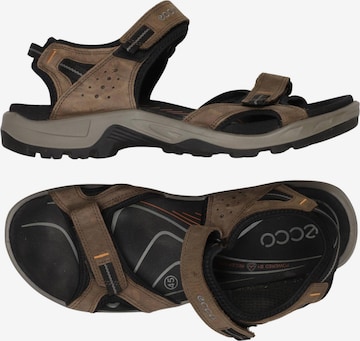 ECCO Sandalen 45 in Braun: Vorderseite