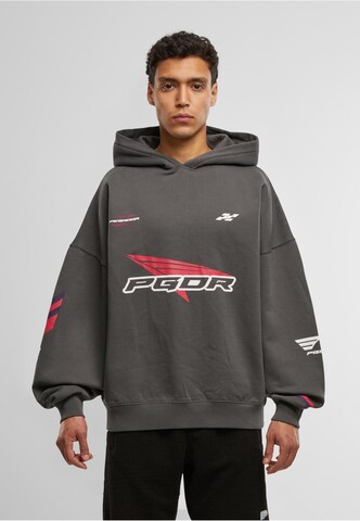 Pegador Sweatshirt 'Dome' in Grijs