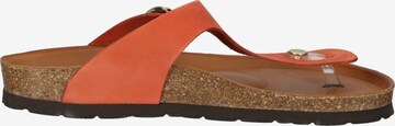 ROHDE Mules in Orange