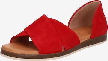 Apple of Eden Sandals 'Celine' in Red: front