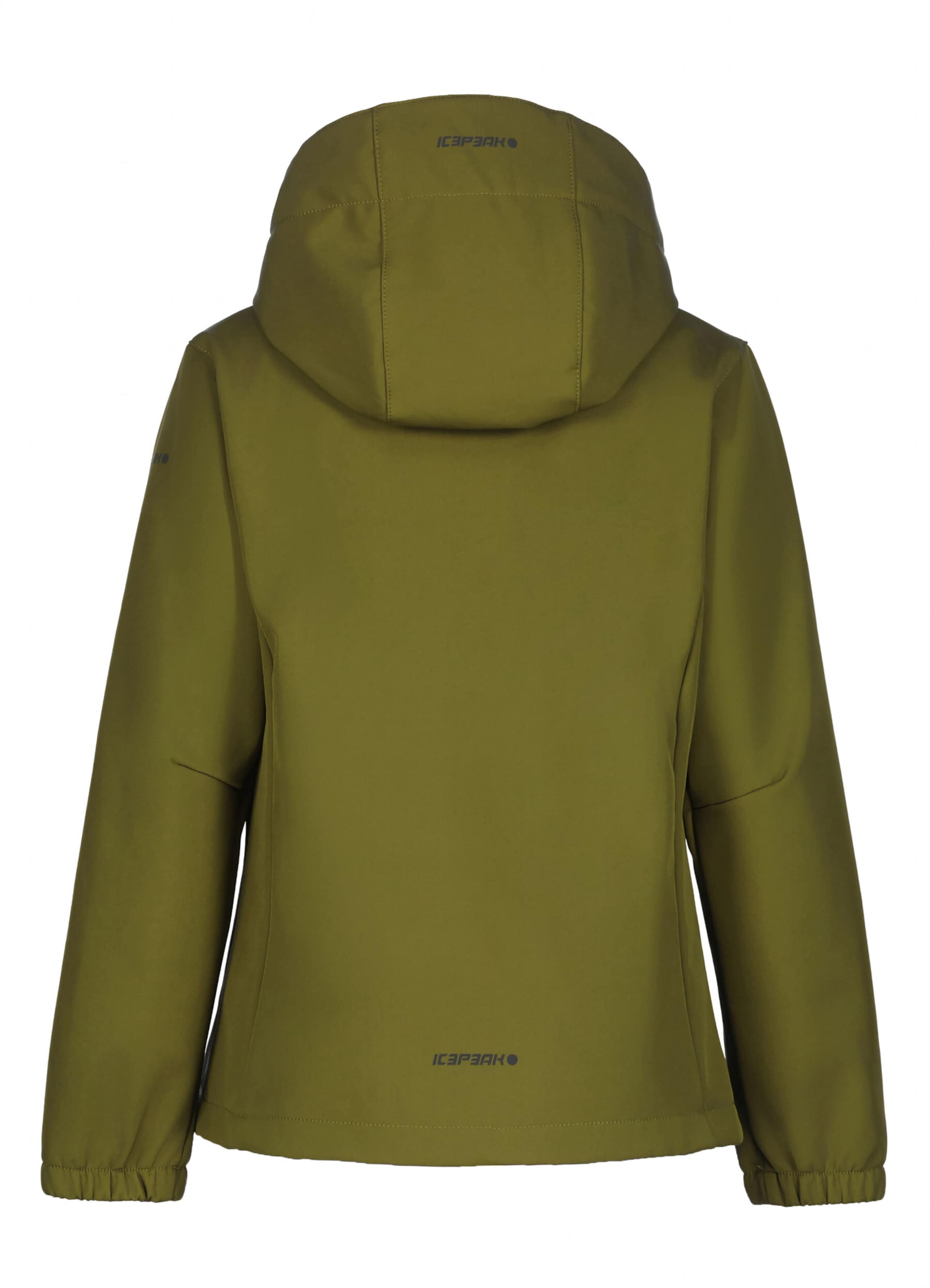 ICEPEAK Outdoor jacket 'Kobryn' in Green