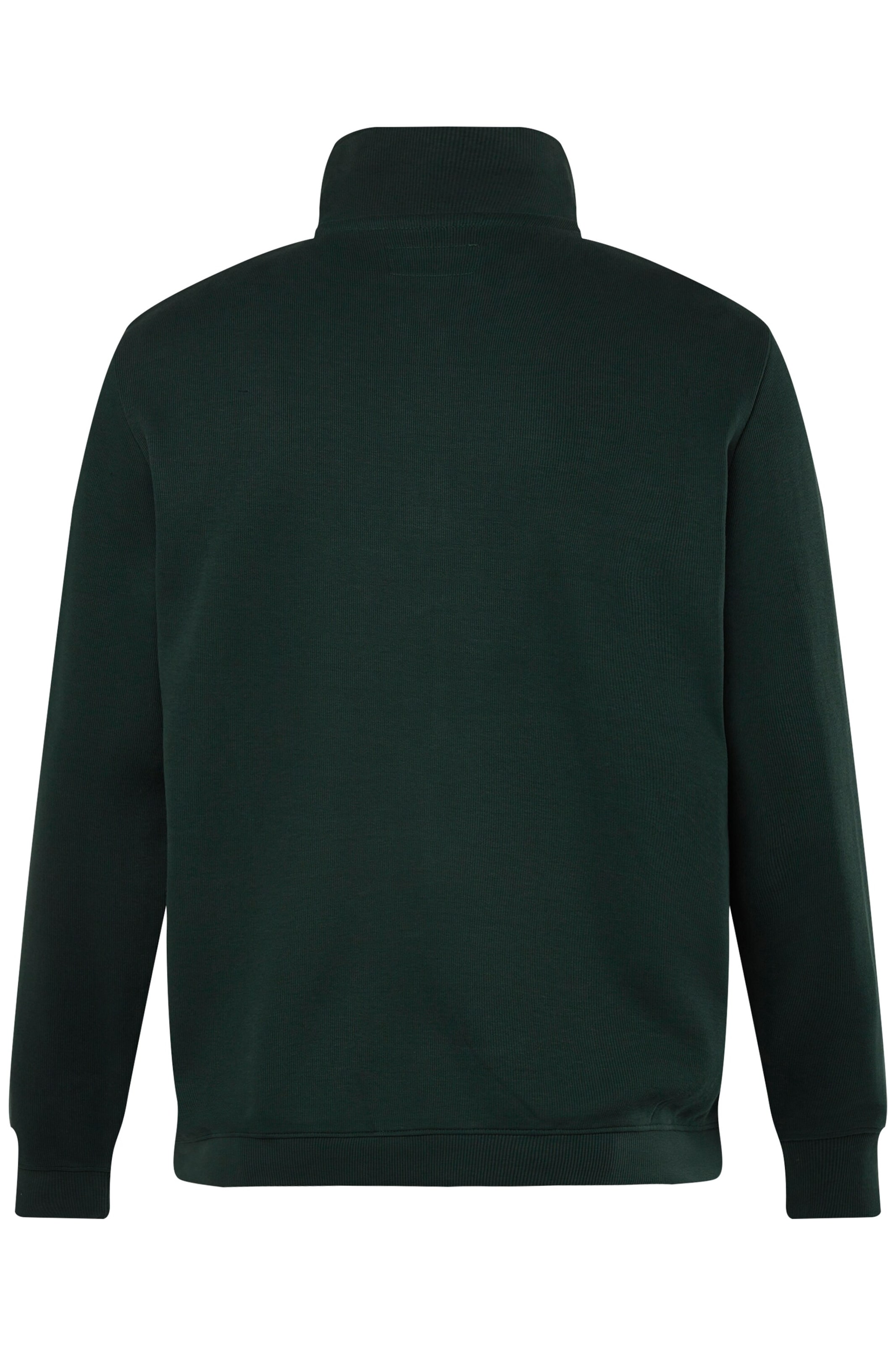Boston Park Sweatshirt in Groen