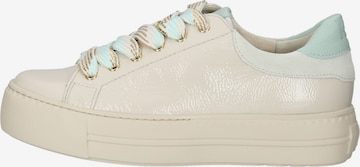 Baskets basses Paul Green en beige