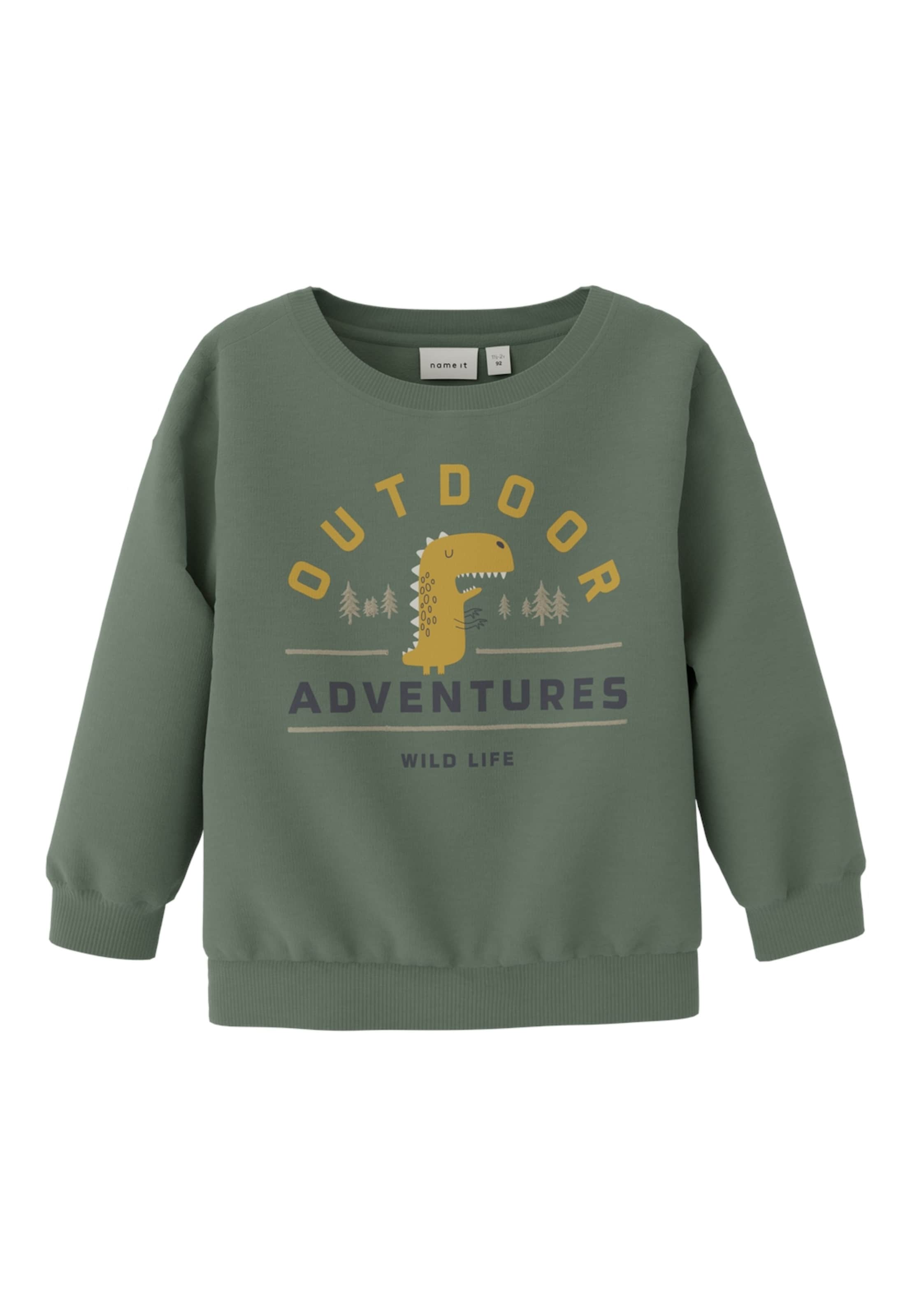 NAME IT Sweatshirt 'NARAM' in Green: front