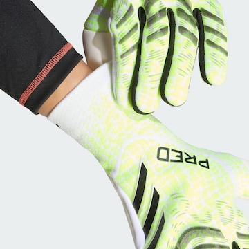 ADIDAS PERFORMANCE Sporthandschoenen 'Predator Pro' in Groen