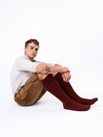 HerzSticht Traditional Socks 'Silberdistel' in Red