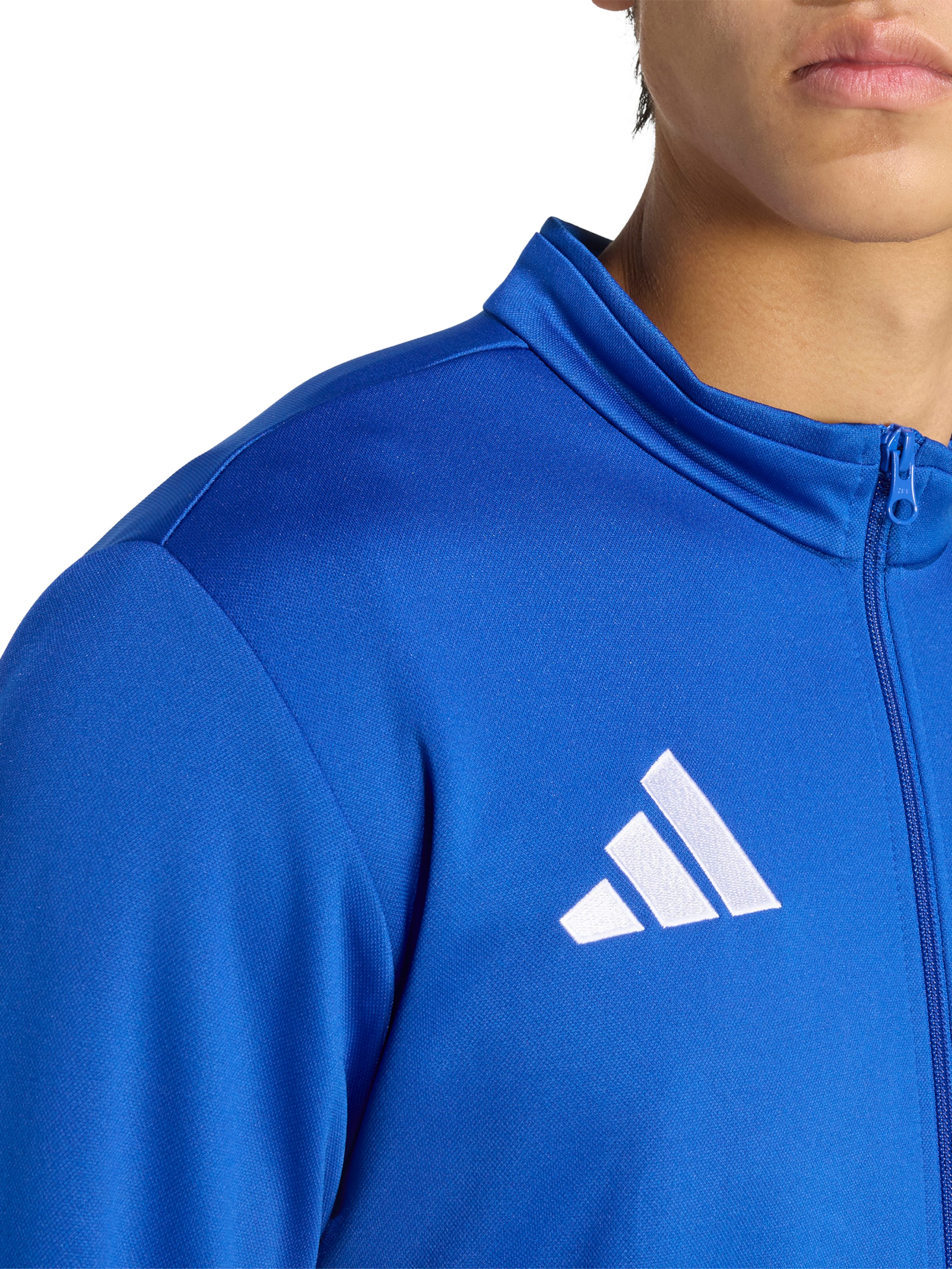 ADIDAS PERFORMANCE Training jacket 'ENT26' in Blue
