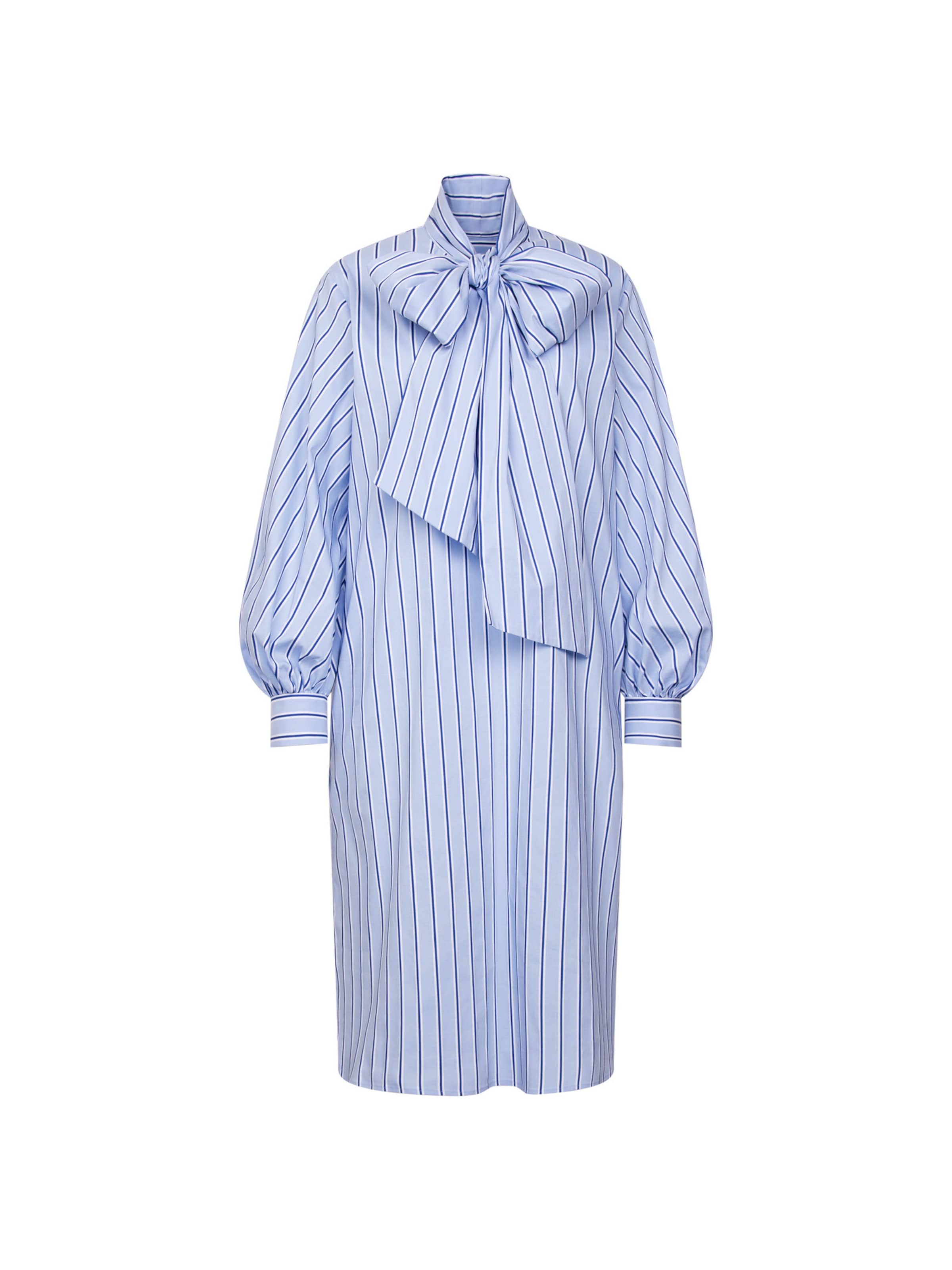 SEIDENSTICKER Dress in Blue: front