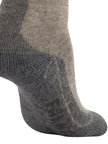 FALKE Athletic Socks 'TK1 Adventure Wool' in Beige