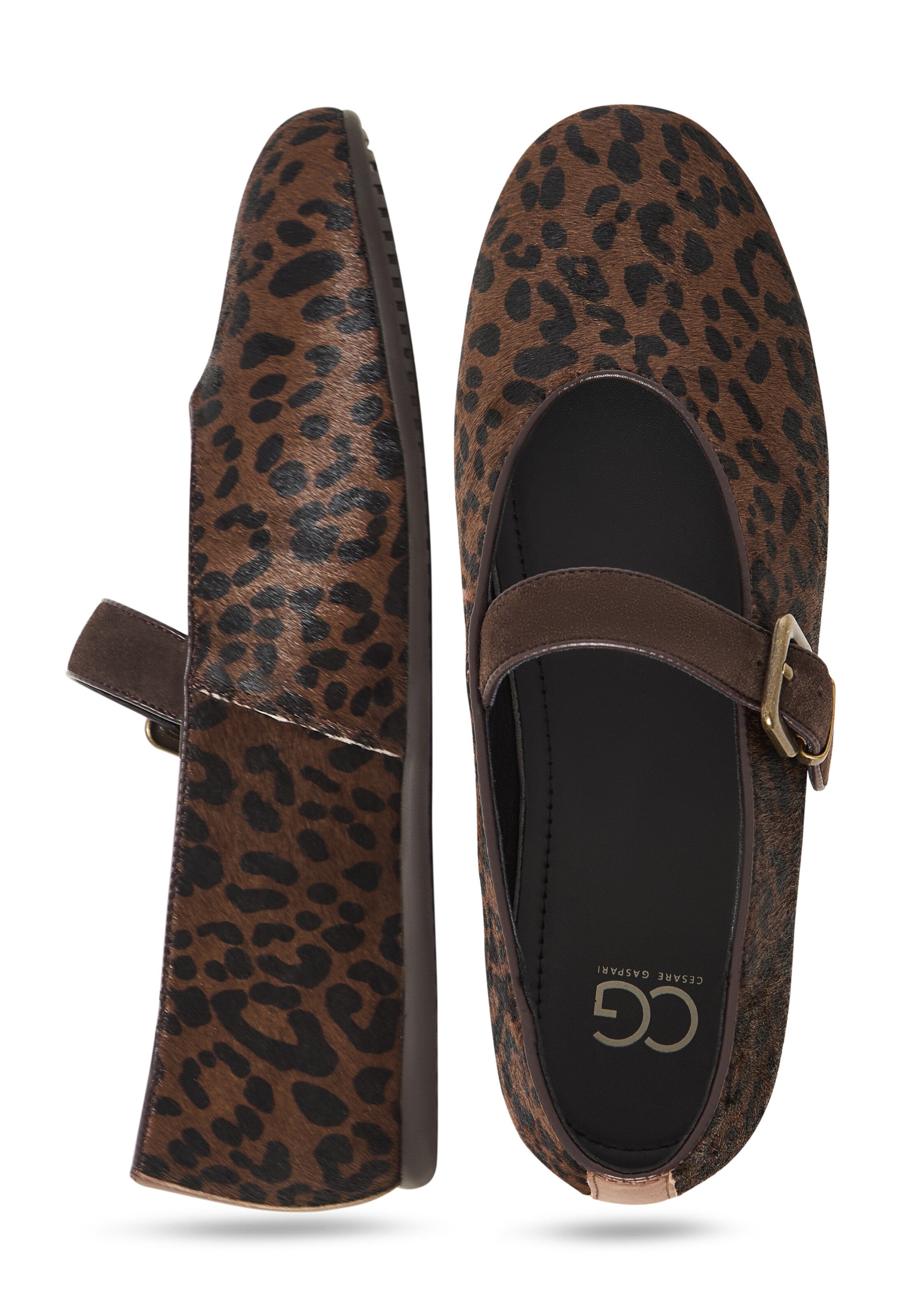 CESARE GASPARI Strap ballerina in Brown