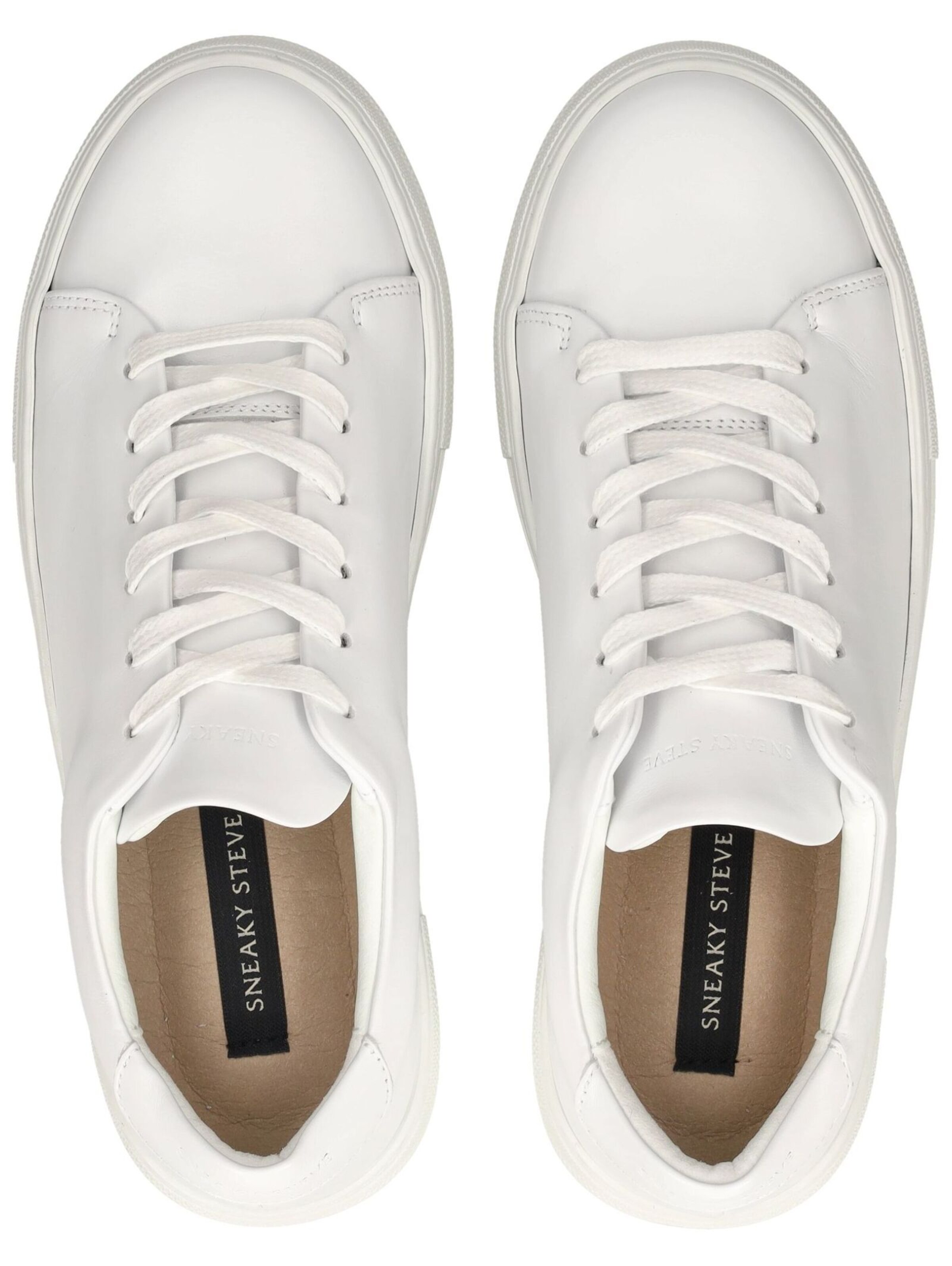 Baskets basses Sneaky Steve en blanc