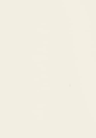 Top di LASCANA in beige