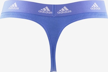 ADIDAS SPORTSWEAR Athletic Underwear ' Thong ' in Blue