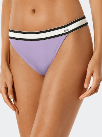 Bas de bikini ' Aqua Californian Dream ' SCHIESSER en violet : devant