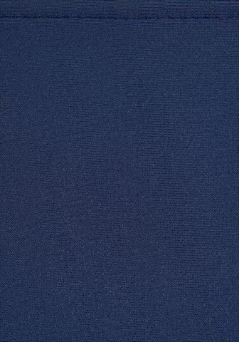 Bustino Tankini di LASCANA in blu