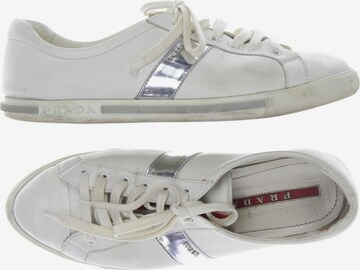 PRADA Sneakers & Trainers in 40,5 in White: front