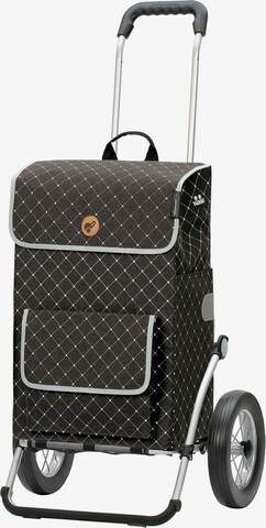 Andersen Shopper Trolley 'Tamo' in Grijs: voorkant