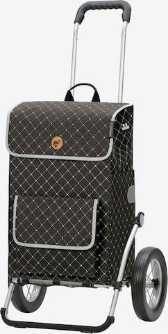 Andersen Shopper Trolley 'Tamo' in Grijs: voorkant