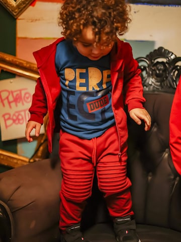 4PRESIDENT Regular Hose 'Garrison Red' in Rot