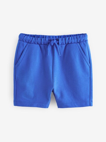 Next Regular Broek in Blauw