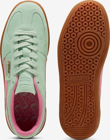 PUMA Sneakers 'Palermo' in Green