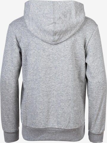 Champion Authentic Athletic Apparel Sweatshirt in Grey