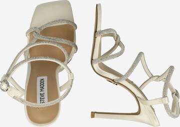 STEVE MADDEN Sandalen met riem 'IMPLICIT' in Beige