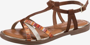 TAMARIS Strap Sandals in Brown: front