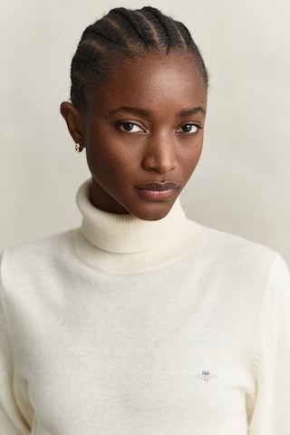 GANT Pullover in Beige