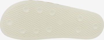 bēšs ADIDAS ORIGINALS Ādas čības 'Adilette'