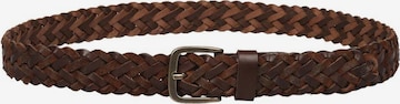 Scalpers Belt in Brown: front