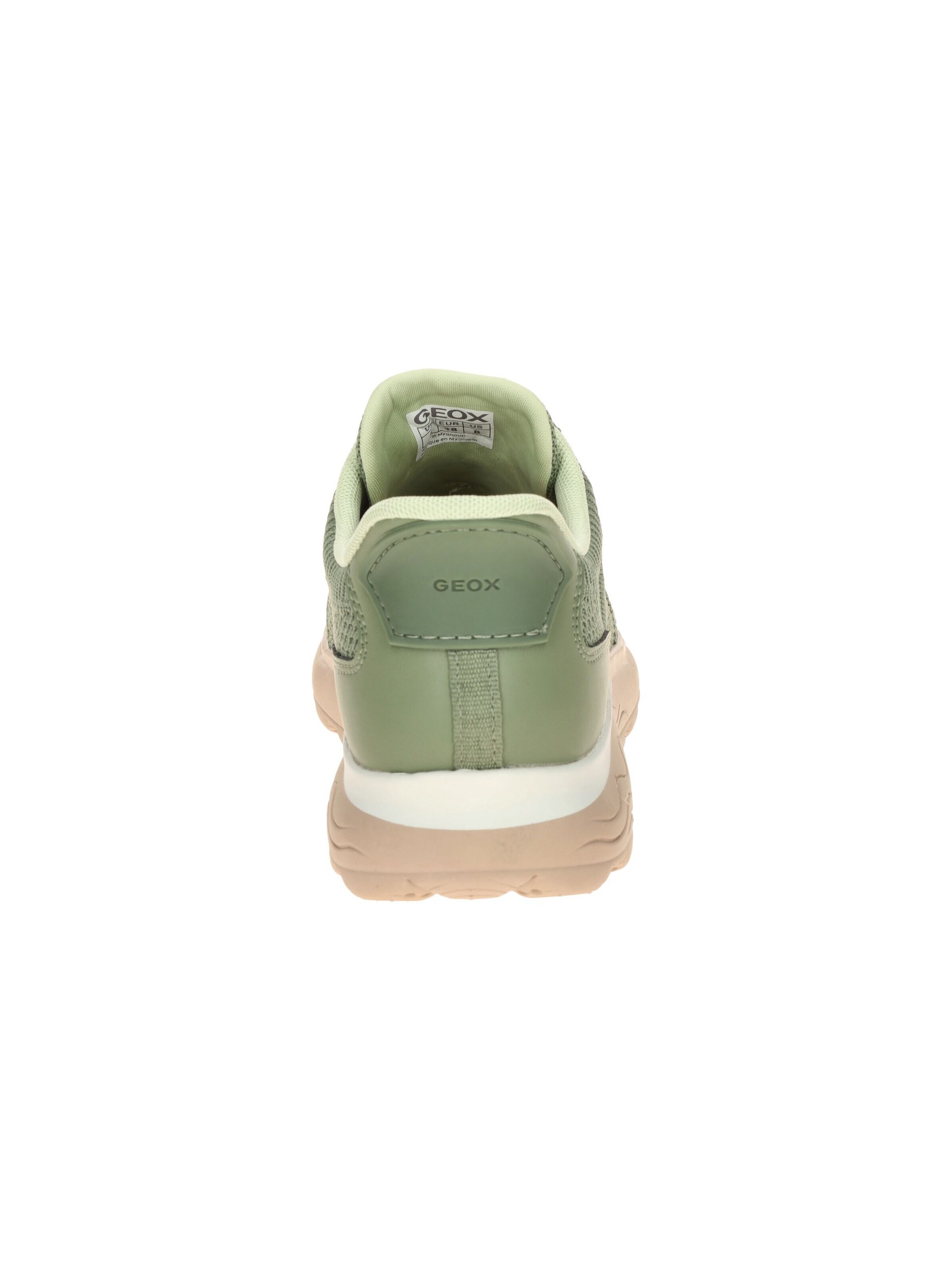 GEOX Slippers in Green