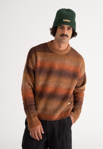Prohibited Sweater in Brown: front