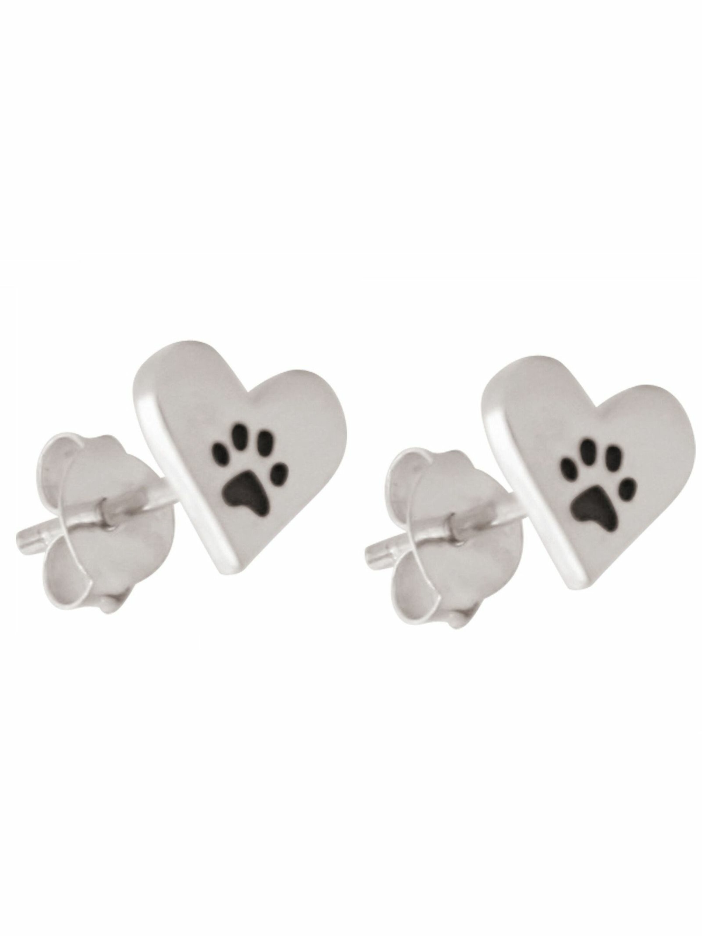 Gemshine Earrings in Silver