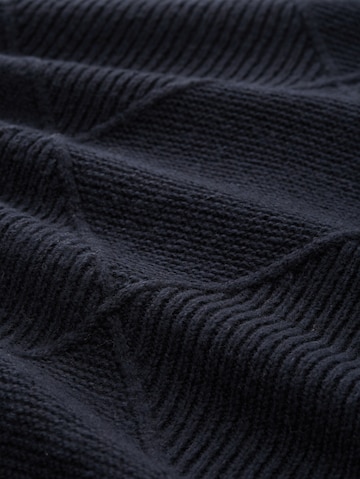 TOM TAILOR Trui in Blauw