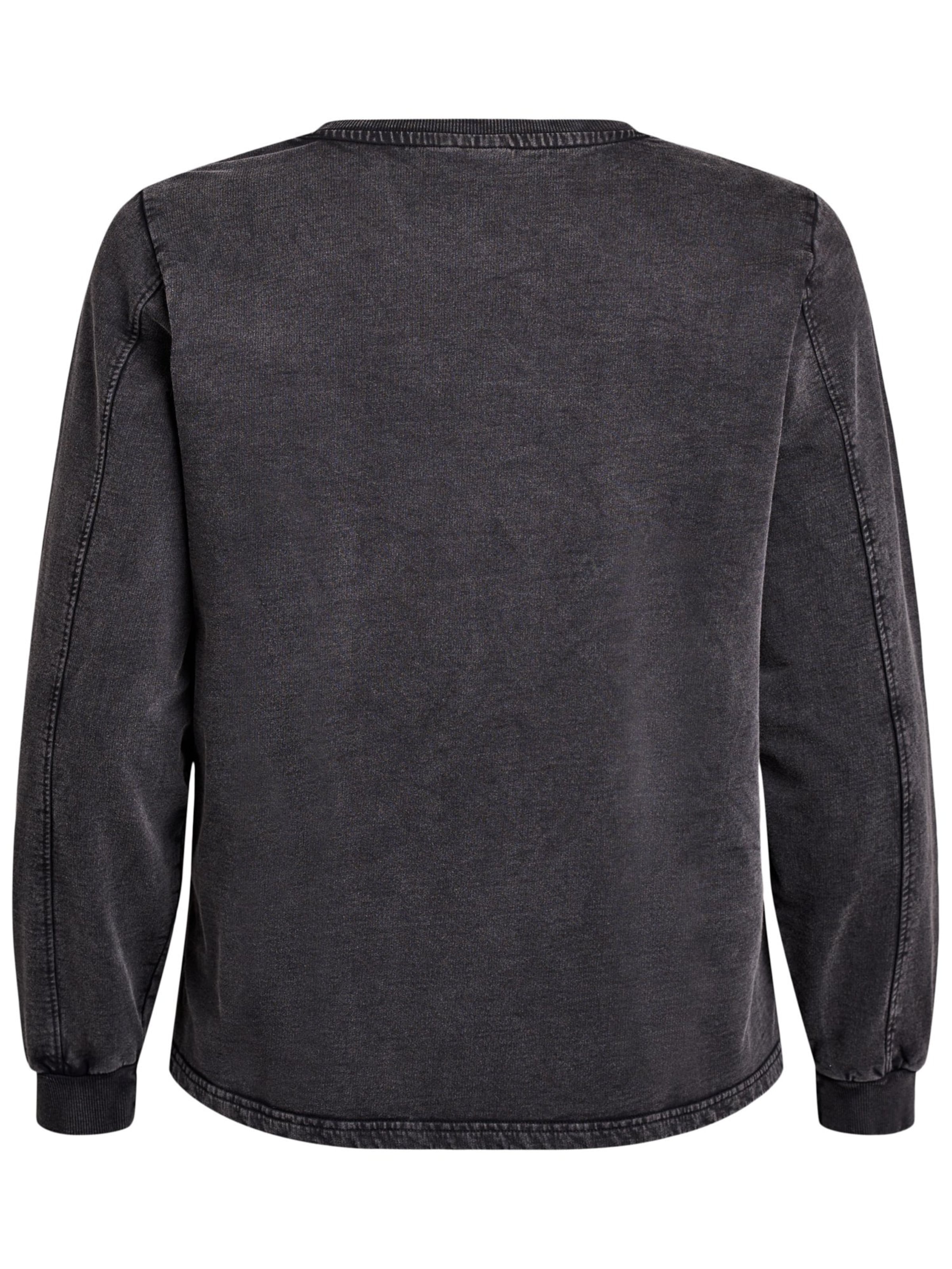 Zizzi Свитшот 'Dina' в Серый