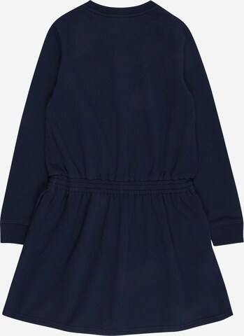 Polo Ralph Lauren Dress in Blue