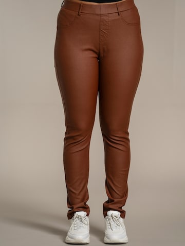 Skinny Pantaloni 'Dublin' di SANDGAARD in marrone: frontale