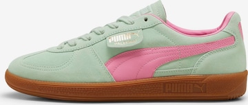 PUMA Σνίκερ χαμηλό 'Palermo' σε πράσινο: μπροστά